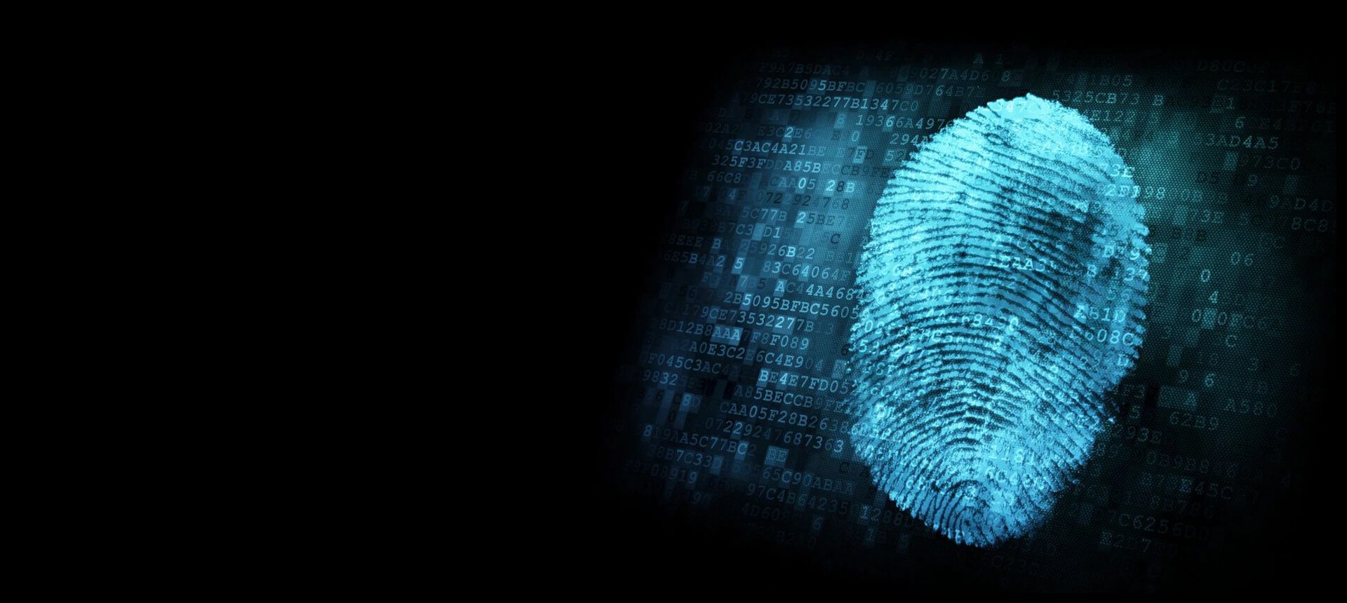 Digital forensics investigation metadata forensics llc